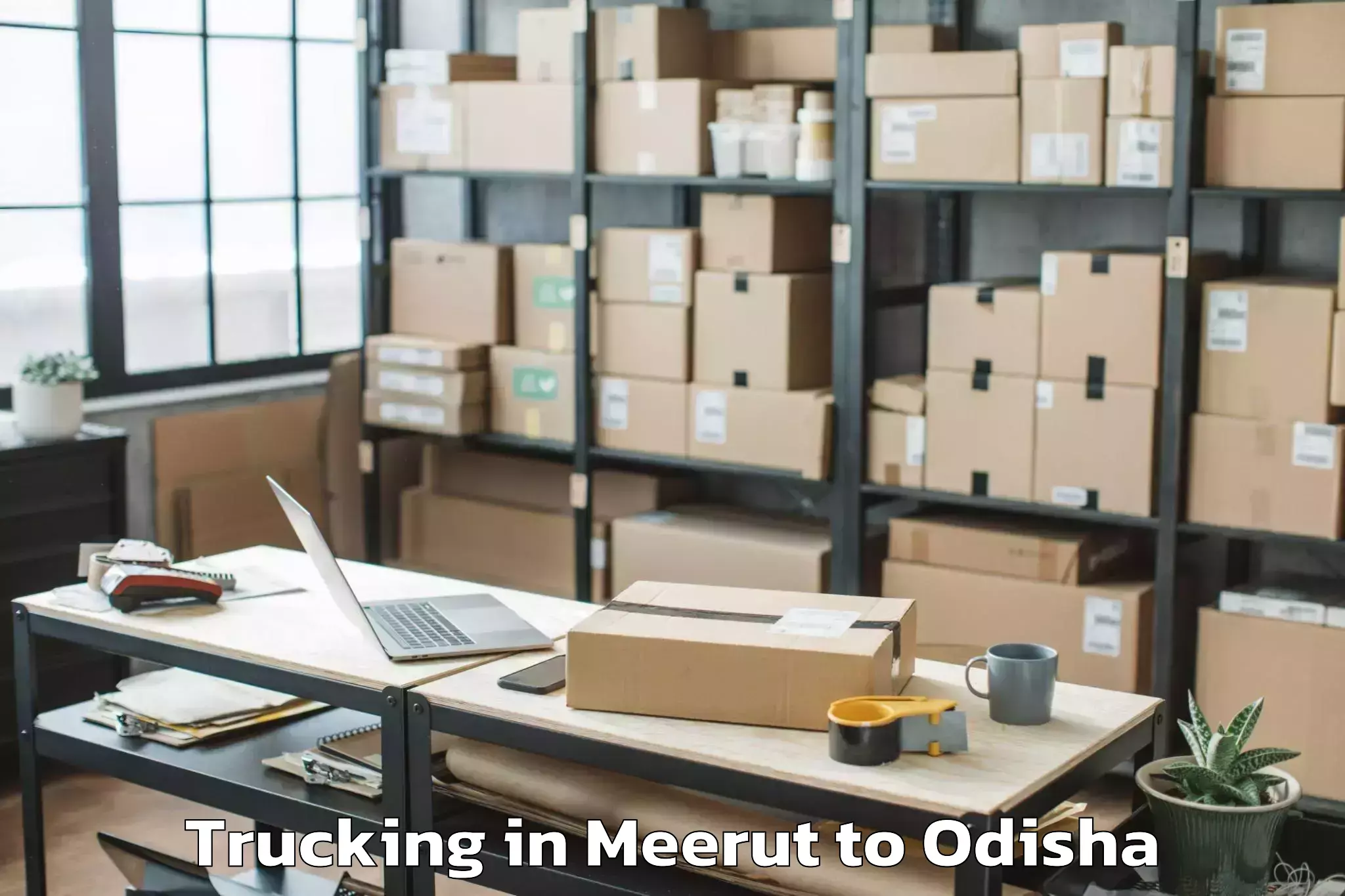 Trusted Meerut to Khallikot Trucking